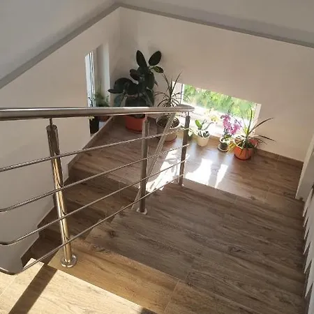 Casa Magnolia *